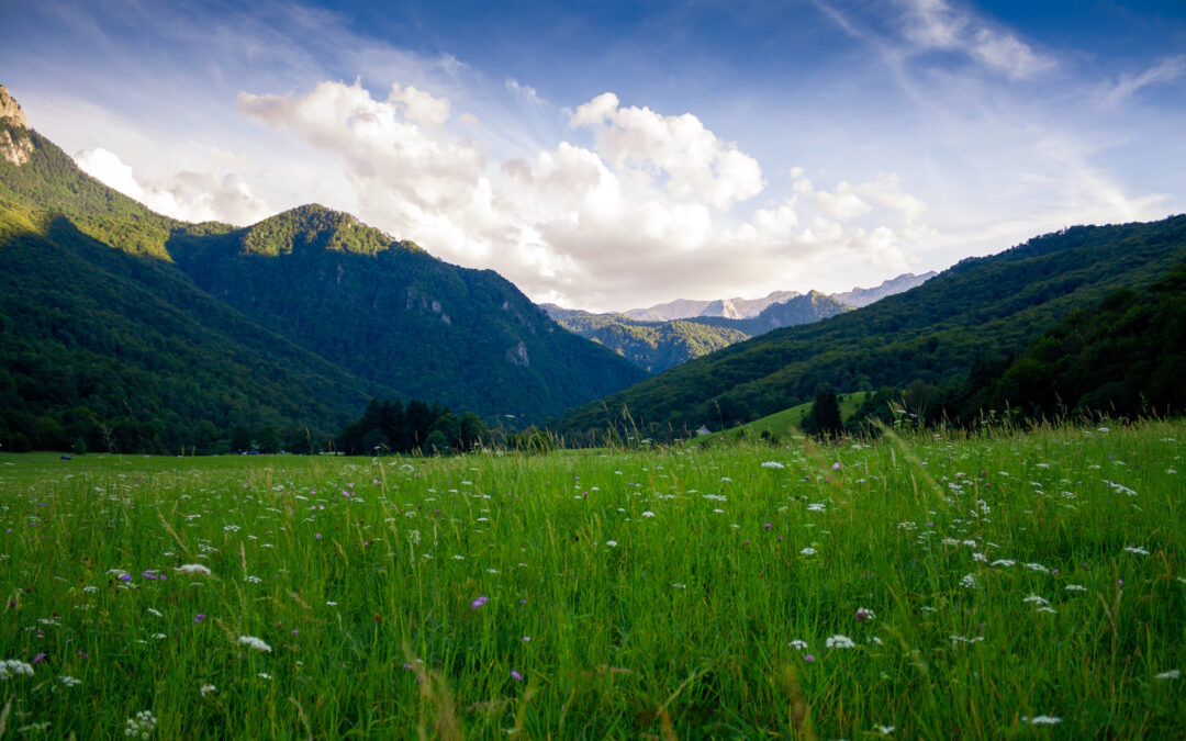 Towards a Green Energy Future: Harnessing Renewable Power for a Sustainable World”